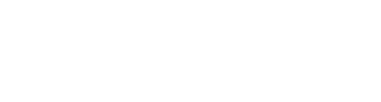 Holickyteam